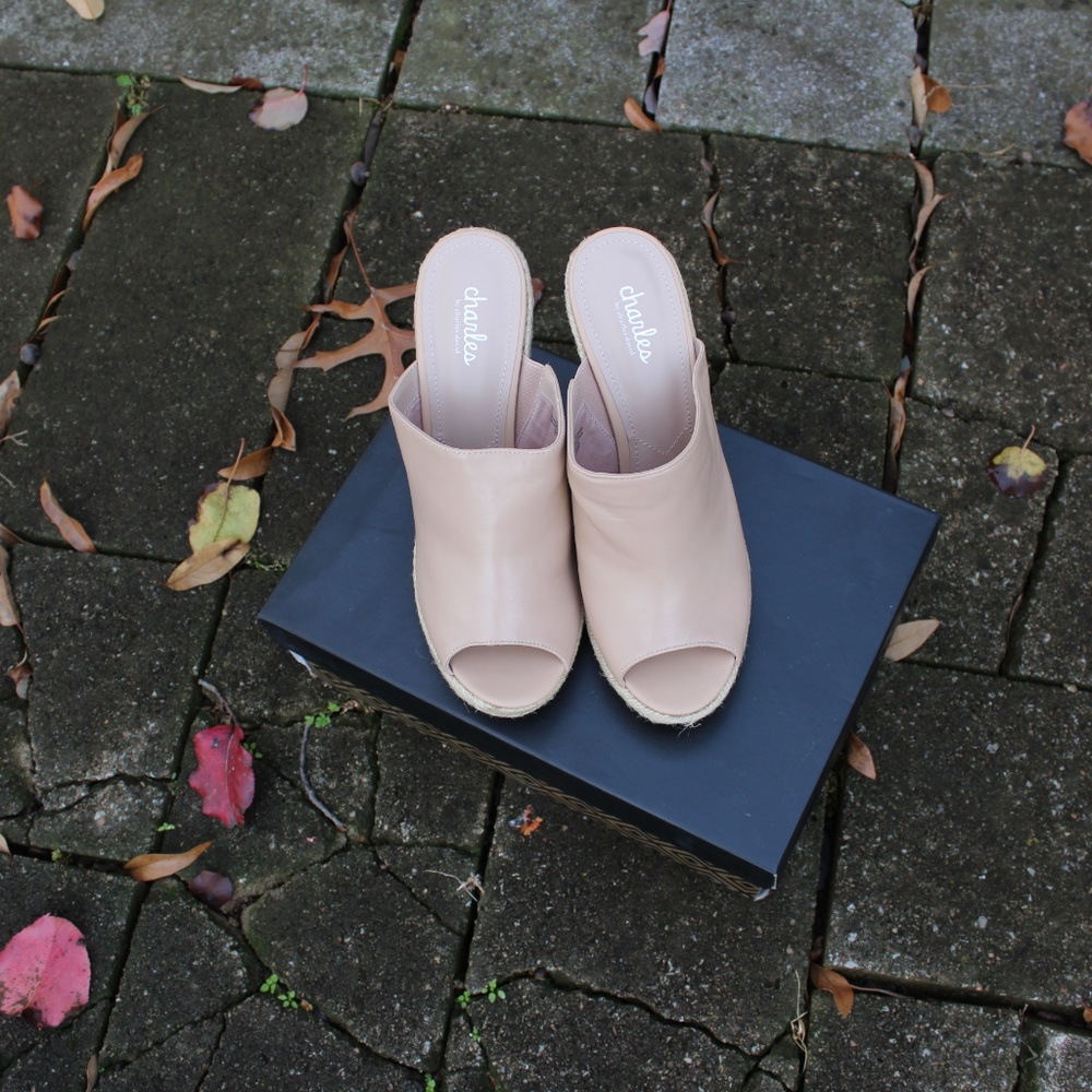 NWB Charles by Charles David Balen Wedge Sandals
